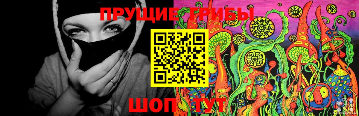 магазин продажи   Искитим  Псилоцибиновые грибы Magic Shrooms 