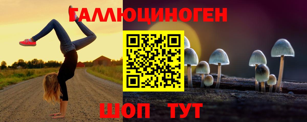 Искитим  Псилоцибиновые грибы Psilocybine cubensis  Псилоцибиновые грибы MAGIC MUSHROOMS  Вход с VPN 